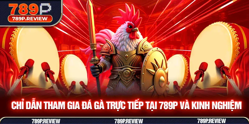 Chỉ dẫn tham gia đá gà trực tiếp tại 789P và kinh nghiệm