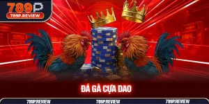 đá gà cựa dao