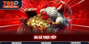 Đá gà trực tiếp