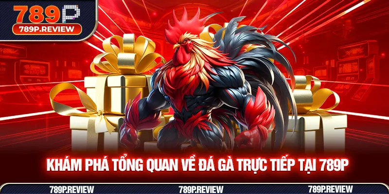 Khám phá tổng quan về đá gà trực tiếp tại 789P