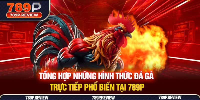 Tổng hợp những hình thức đá gà trực tiếp phổ biến tại 789P